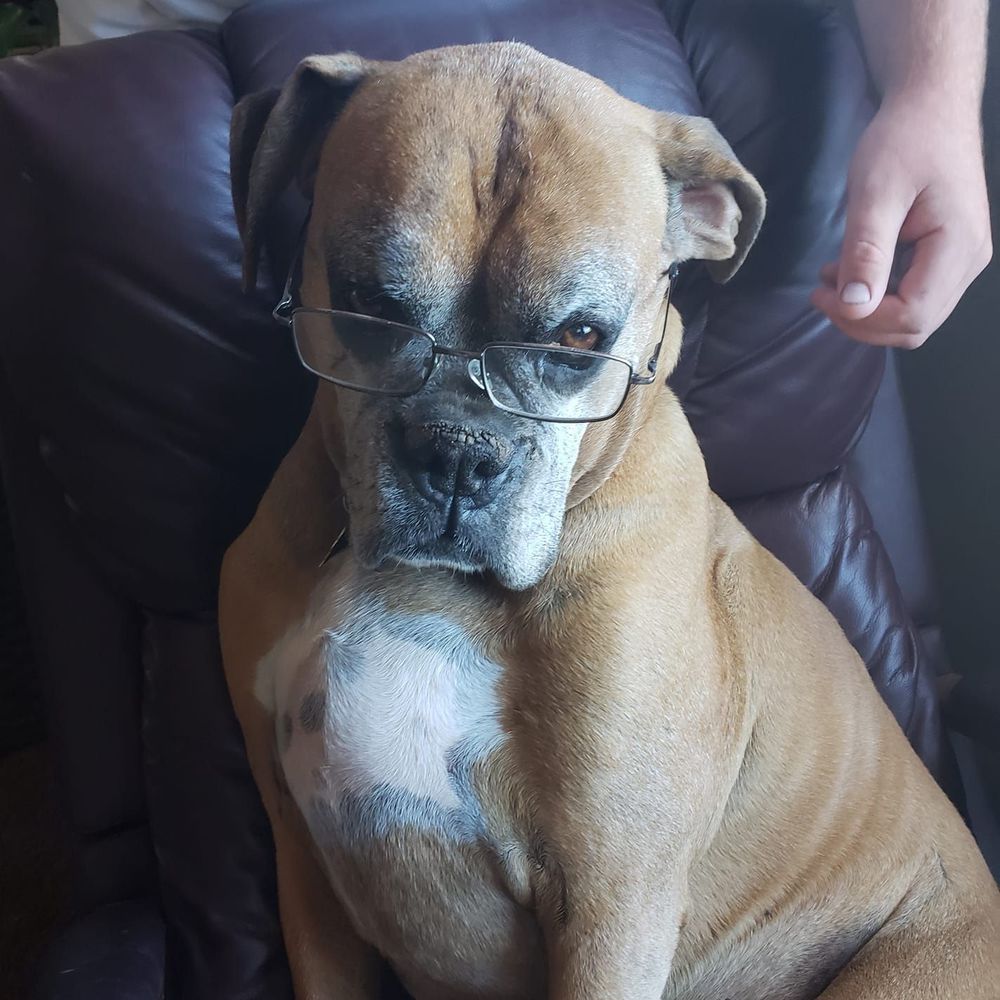 Meet your Posher, Kimberly